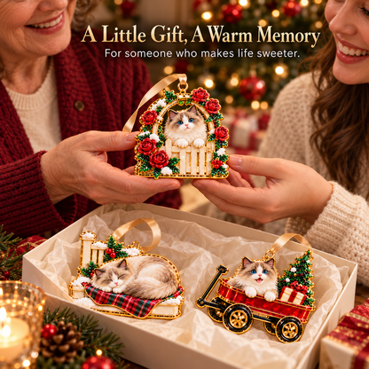 Ragdoll Cat Christmas Ornaments – Cozy Holiday Garden Collection